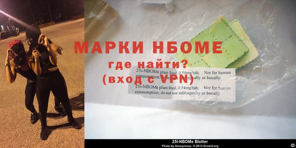 индика Аркадак