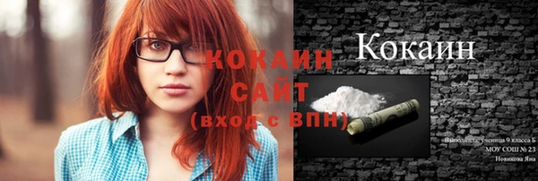 индика Аркадак