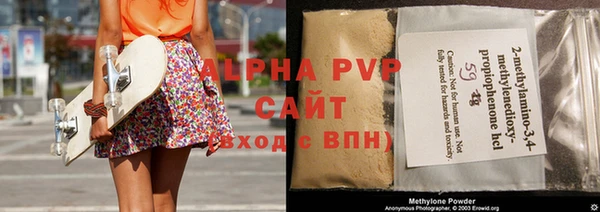 индика Аркадак