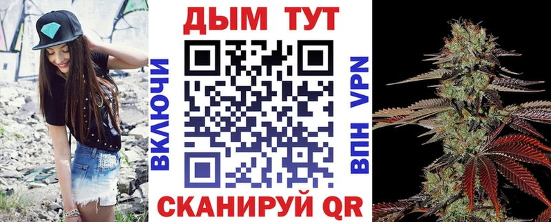 Шишки марихуана THC 21%  где найти наркотики  Мглин 